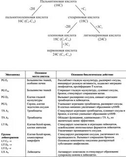 16 кислот