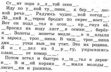 6 класс русский коррекционная школа