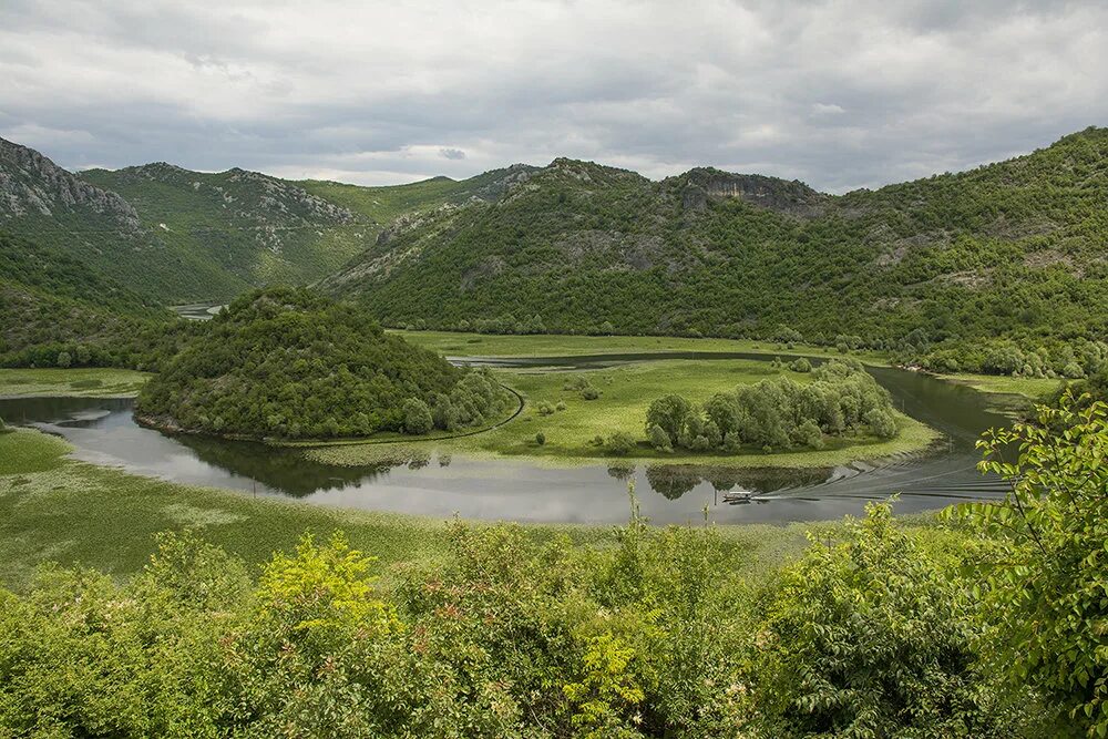 Река царевич. Ярцево река Царевич. Река Царевич Смоленской области. Река Царевич яреуво. Река Царевич фото.