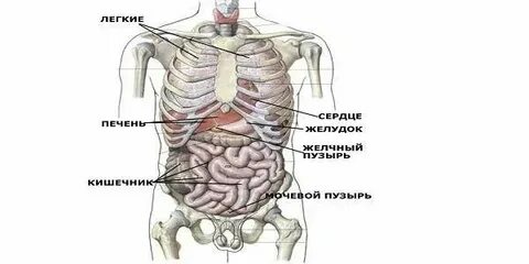 Как она расположена