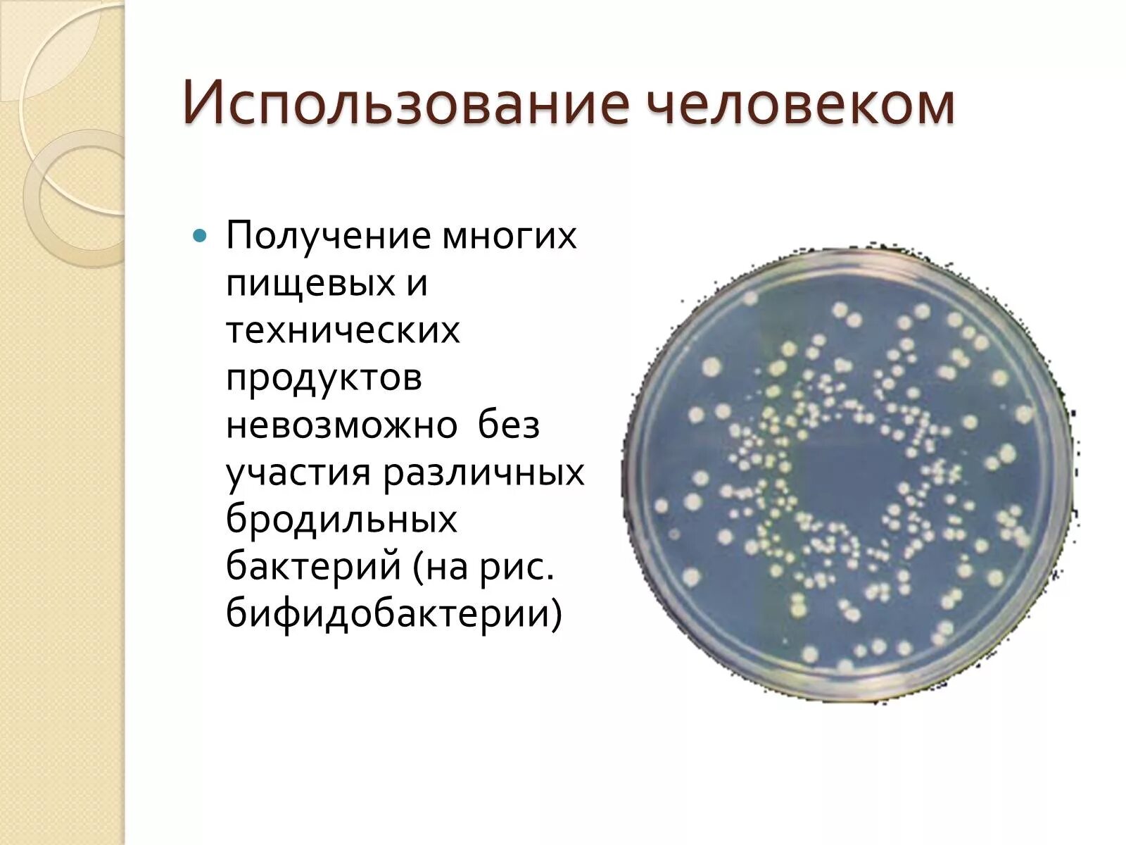 Человек прокариот