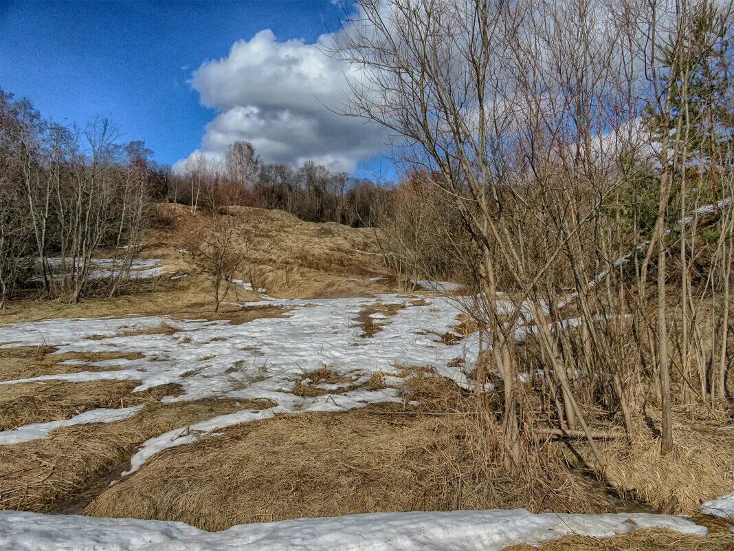 Сочи весной цветение абрикоса. Весны 9. Имена весной рожденные весной. Весенняя 9. Ставрополь в мае фото.