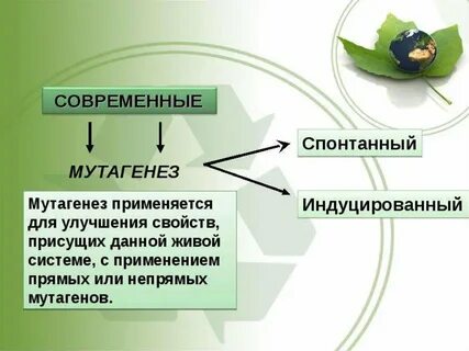 Методы селекции мутагенез