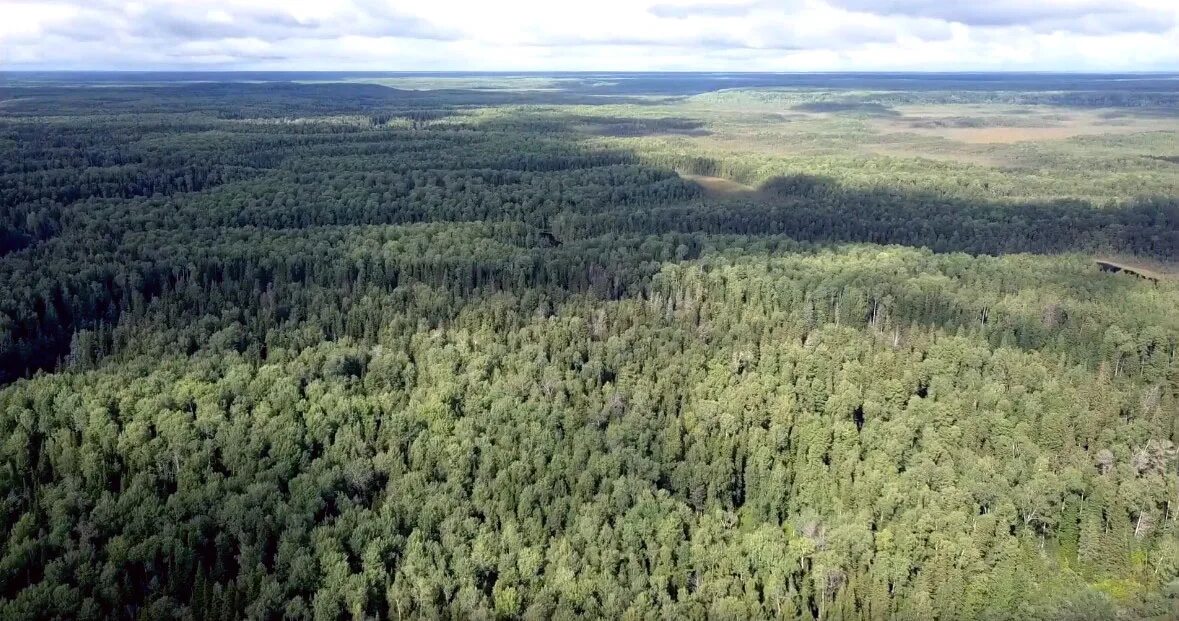 заповедники югры. заповедник малая сосьва. заповедник малая сосьва в хмао-югре. заповедники югры. заповедник юганский сургутский район.