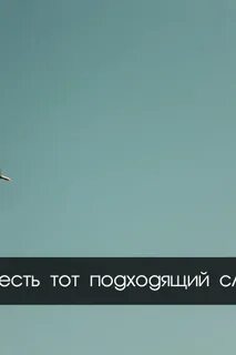 Фраза полет