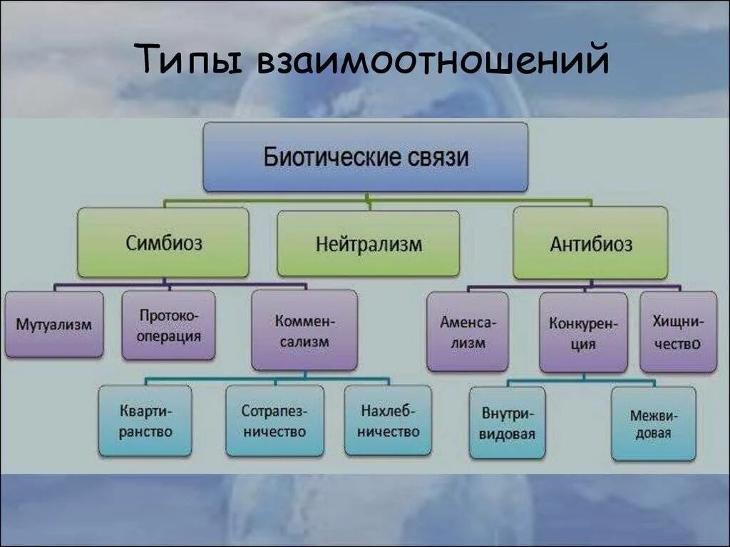 И 6 форма связи. Биотические связи организмов схема. Типы межвидовых взаимоотношений схема. Типы взаимодействия между организмами схема. Типы биотических взаимодействий схема.