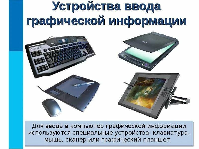 Обрабатывает графическую информацию вводит ее на монитор