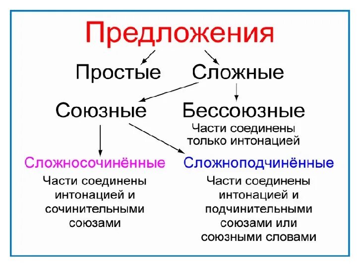 Урок в 9 кл сложное предложение. Основные виды связей в сложных предложениях. Как определить вид сложного предложения. Типы сложных предложений схема. Ьтпы сложный предложений.