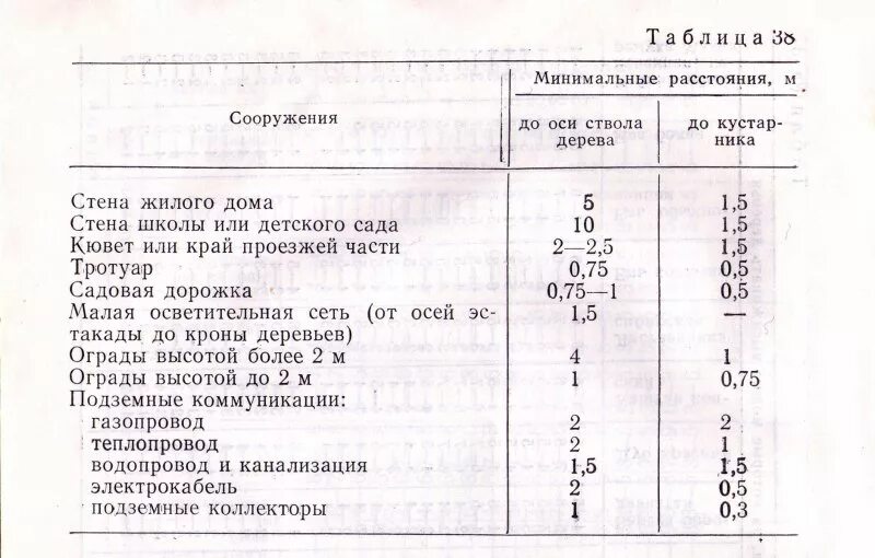 На каком расстоянии нужно сажать деревья. Нормы посадки деревьев СНИП. СНИП посадка деревьев и кустарников нормы. Нормативы высадки деревьев возле жилого многоквартирного дома. Нормы посадки деревьев и кустарников многоквартирных домов.