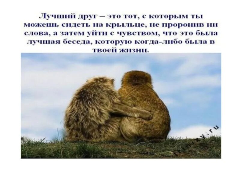 Что значит всего самого наилучшего