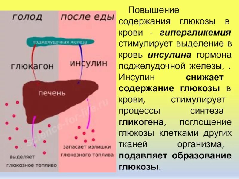 Выделение уд