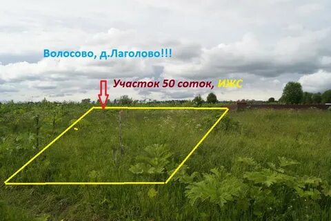 50 соток это сколько