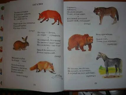Рассказы про животных 6 класс
