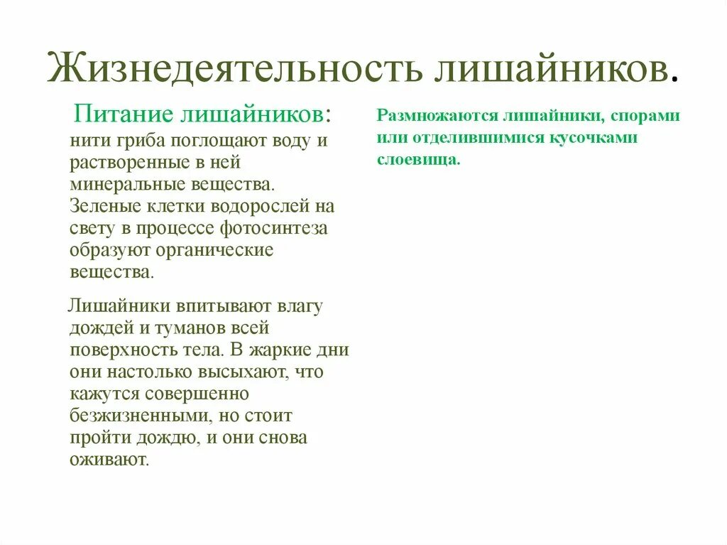 Лишайники поглощают. Жизнедеятельность лишайников таблица. Жизнедеятельность лишайников 5 класс биология. Процессы жизнедеятельности лишайников. Жизнедеятельность лишайников кратко.