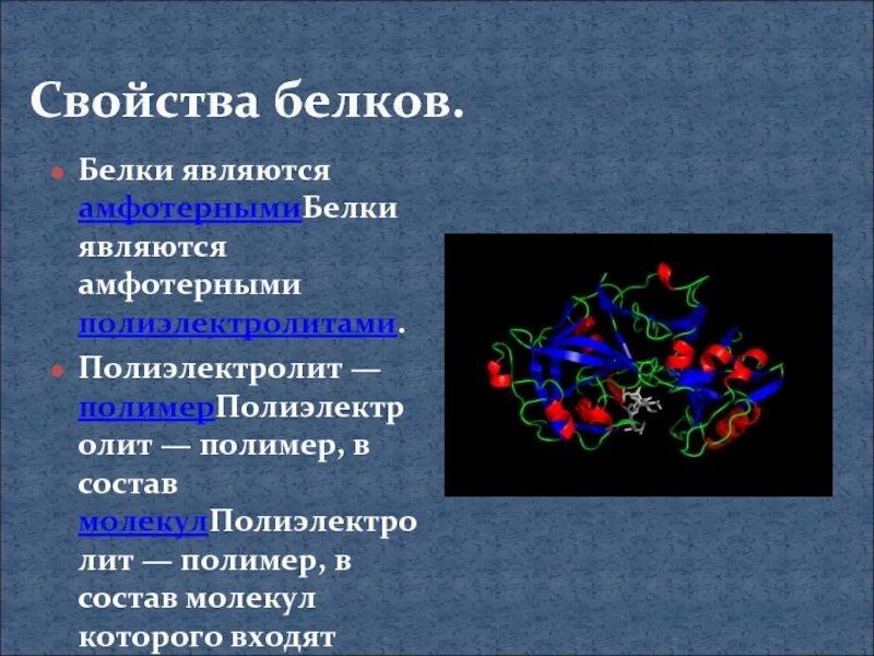 Свойства белковых молекул. Белки являются полимерами. В состав молекул белков входят. Свойства белков полимеров.