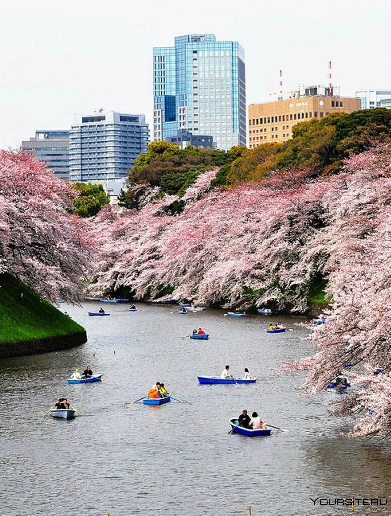 Spring travel
