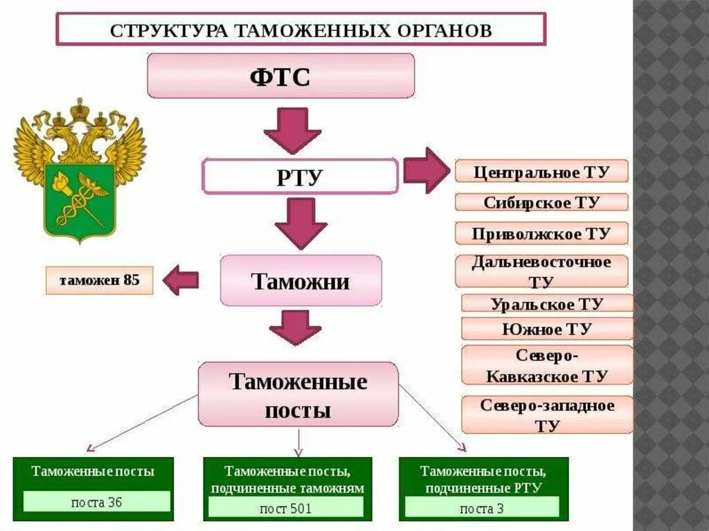 Таможенную систему составляет