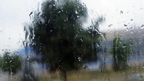 Дождевых окончание