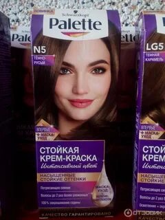 Паллет 5 0
