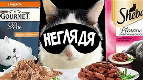 Корма для кошек гурмэ отзывы ветеринаров