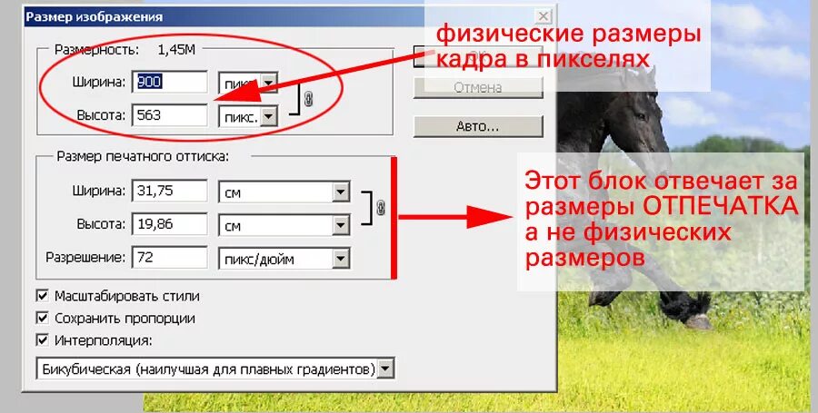 Как увеличить формат картинки. Изменить размер изображения. как можно изменить размер рисунка. как изменить масштаб картинки. изменение размера картинки.