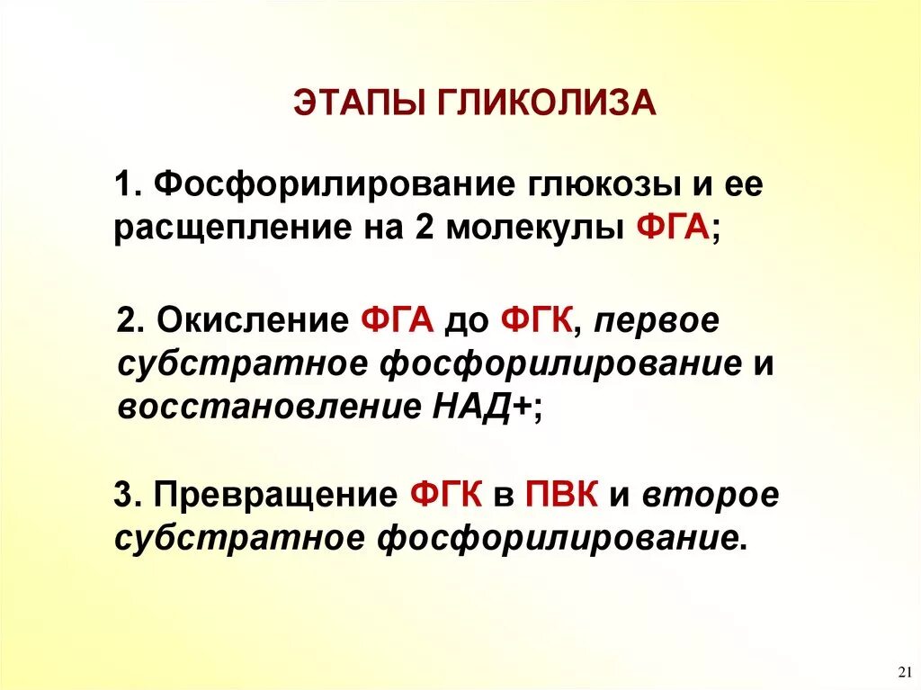 Гликолиз основные процессы. Гликолиз этапы субстратное фосфорилирование. Процесс гликолиза этапы. Схема второй стадии гликолиза. Аэробного расщепления