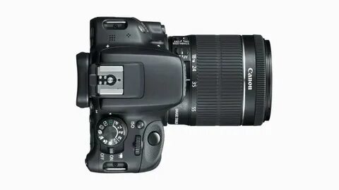 100 d