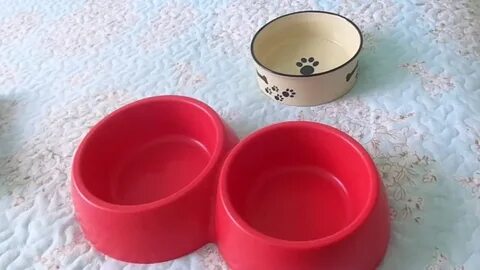 Фикс прайс для кошек