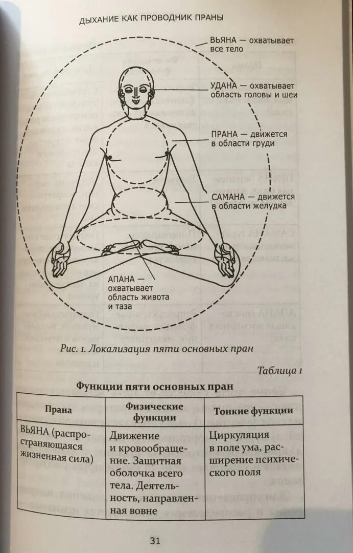 Dosha aurveda. Аюрведа схема. Аюрведа и сакральные дыхательные практики. Прана Удана самана апана Вьяна чакры. Что значит аюрведический