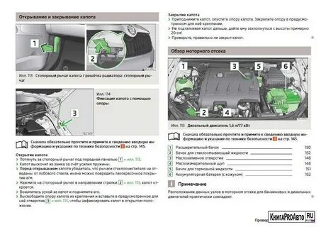 Где номер двигателя кодиак