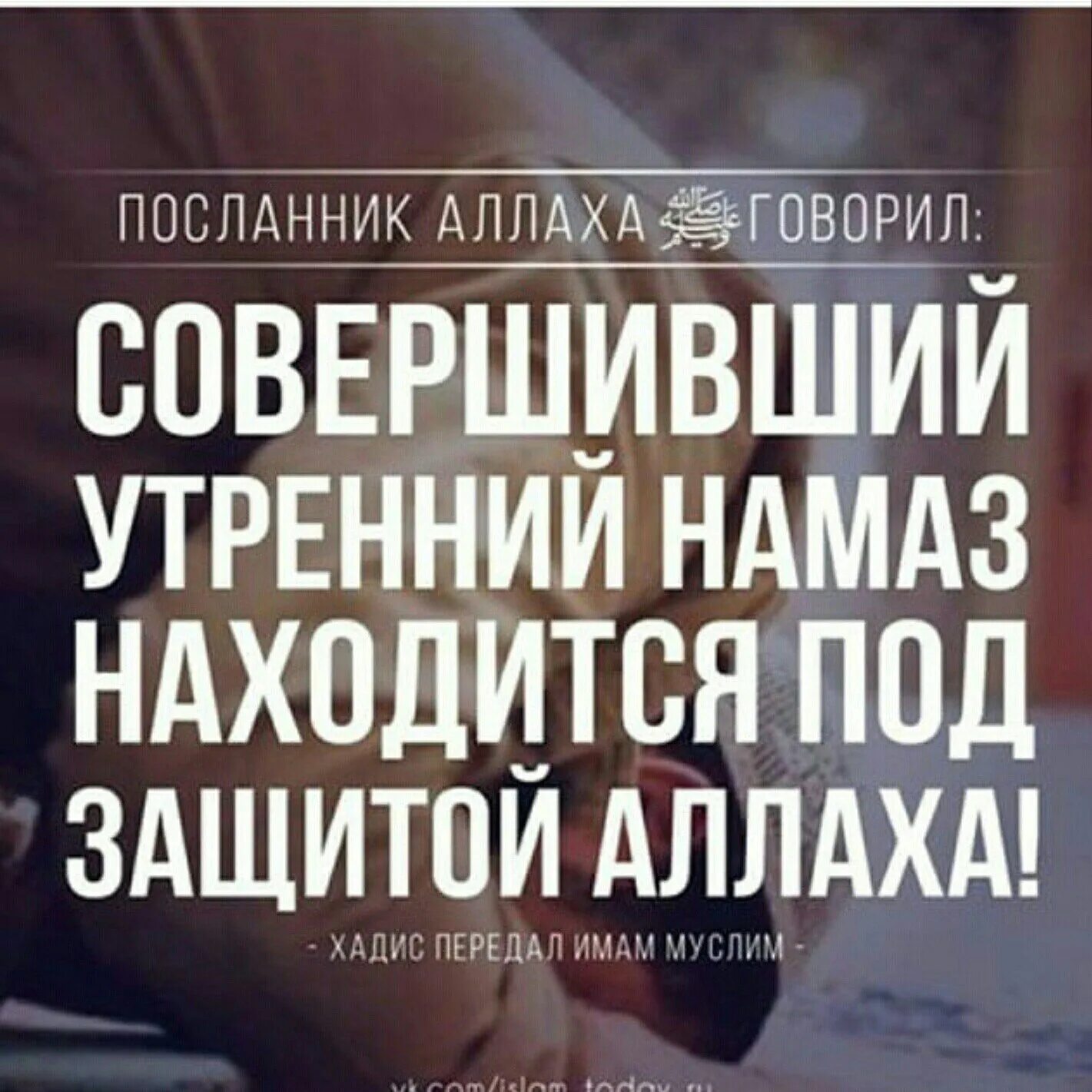 Под защитой всевышнего