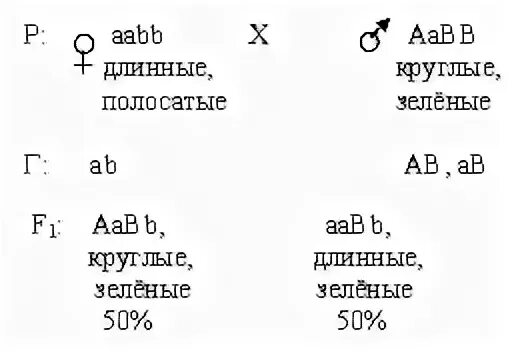 Задачи на скрещивание егэ биология. Дигибридное скрещивание егэ биология. задачи на скрещивание по биологии. задача на дигибридное скрещивание с решением егэ. скрещивание егэ.