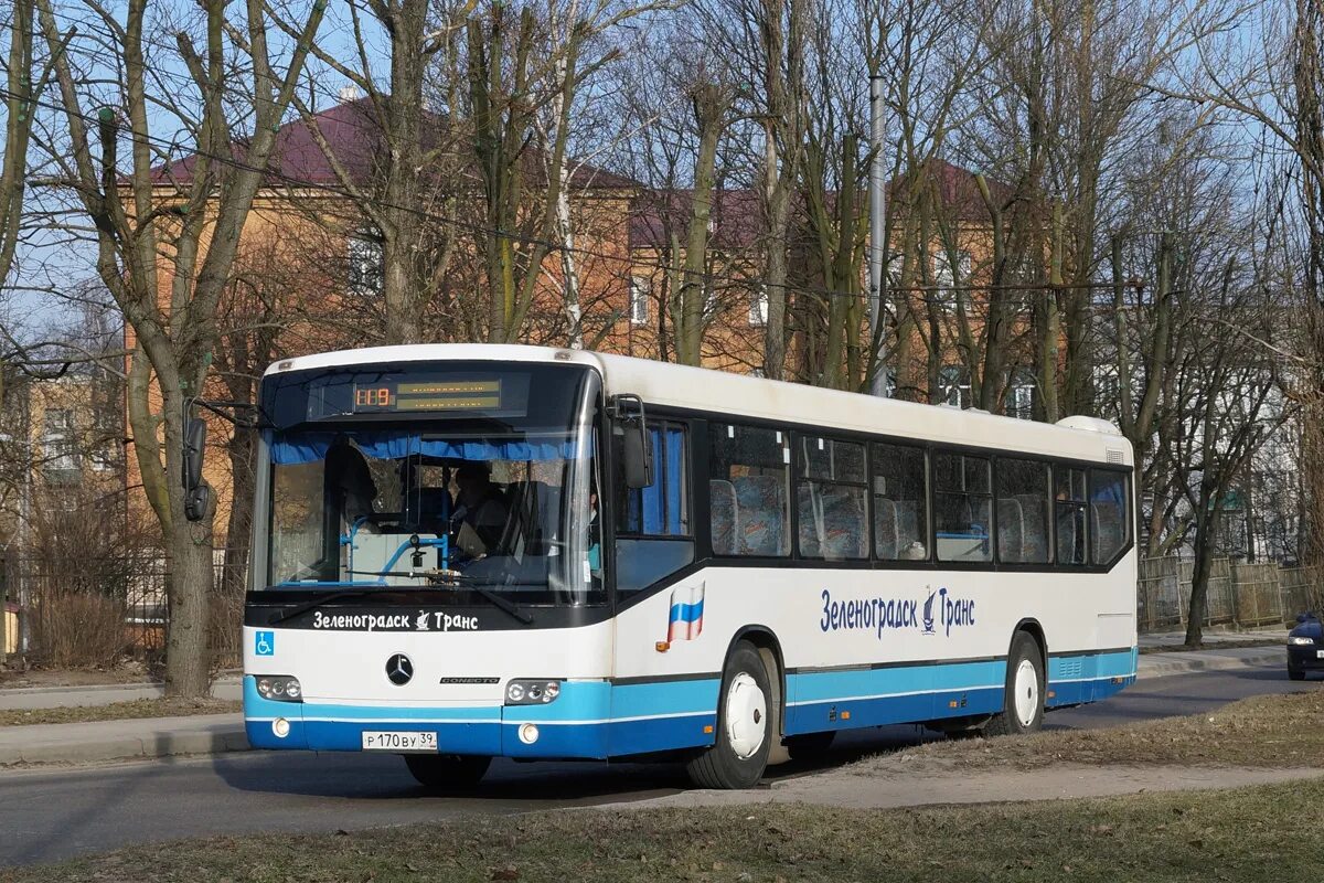 Автовокзал зеленоградск. Зеленоградск-транс Калининград. Mercedes Conecto. Mercedes Benz Intouro Зеленоградск транс. Автобус Мерседес Бенц зеленоградскотранс.