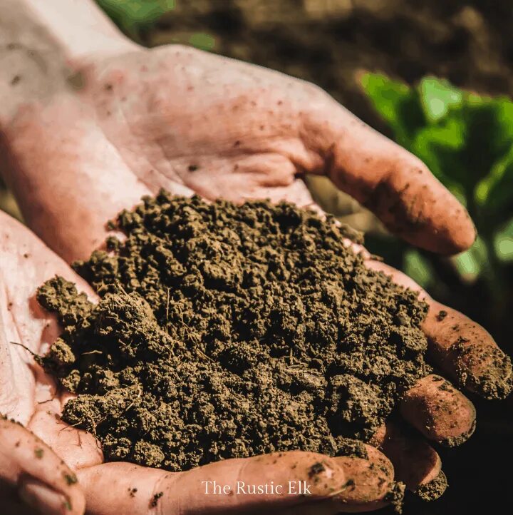 Как определить кислотность почвы. Как определить почву на даче. Нейтральная почва. Мульчирование малины. Удобрение трава компост.