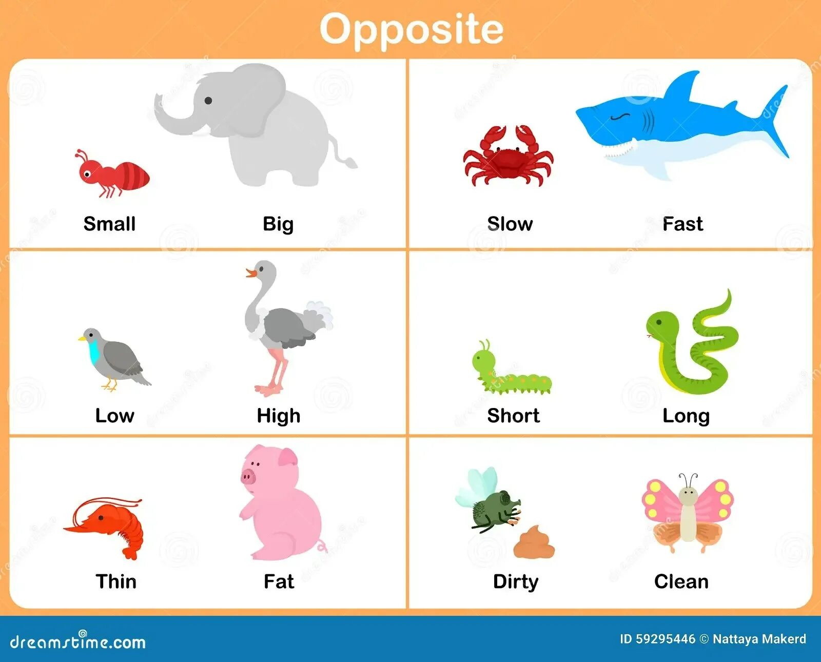 Opposites для детей. Big small long short for Kids. Fast Slow opposites. Short, long картинки на английском.