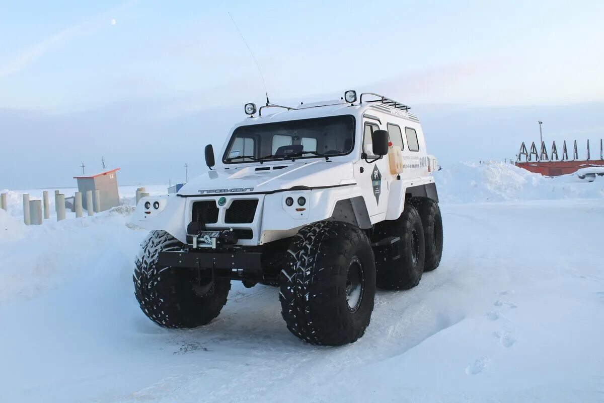 Вездеход шерп zhaba. Снегоболотоход четра тм-140. Снегоболотоходы трэкол трофи. Снегоболотоход категория. Снегоболотоход лесник.