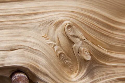 Wood b