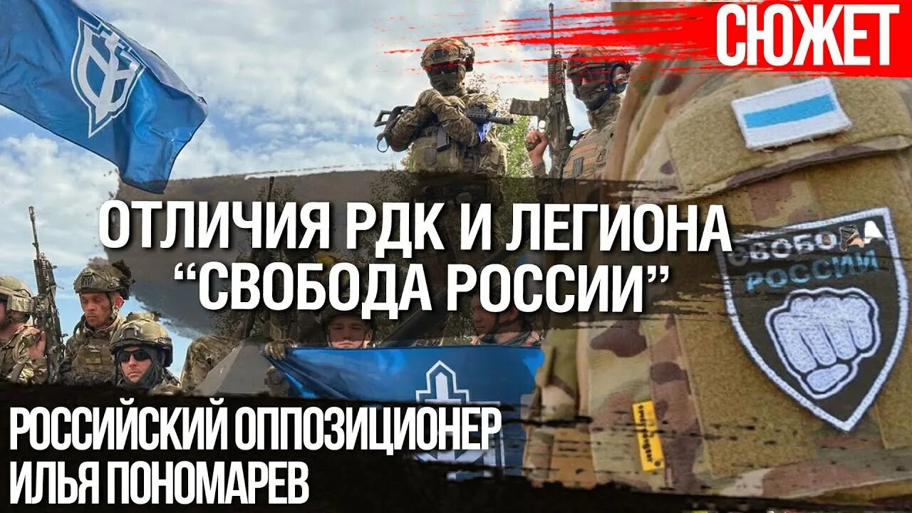 Рдк и легион свобода россии. РДК батальон. Батальон Свобода России. РДК сво.