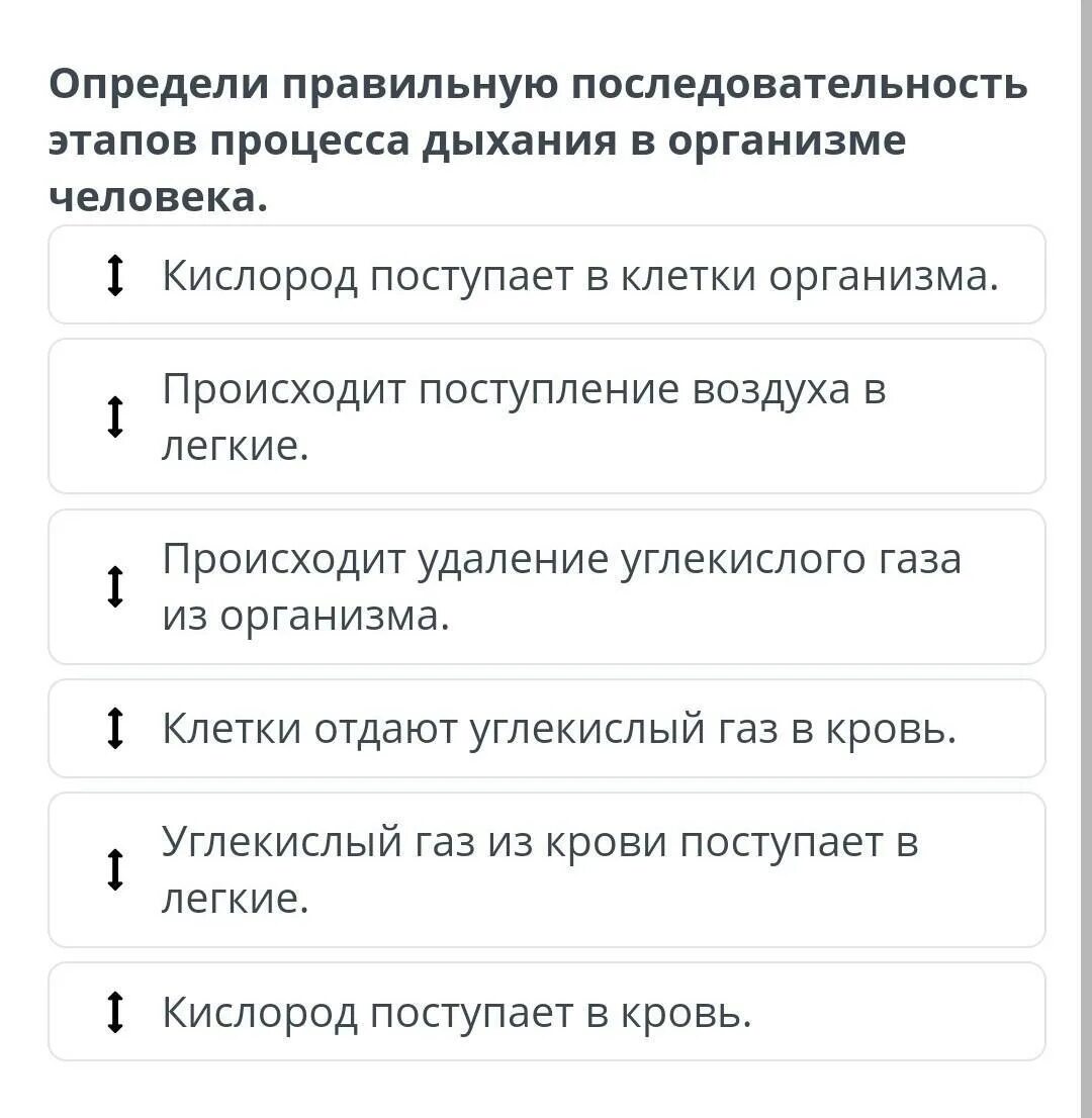 Картинки К ЭТАПАМ ПРОЦЕДУРЫ КОНТРОЛЯ ОТНОСЯТ