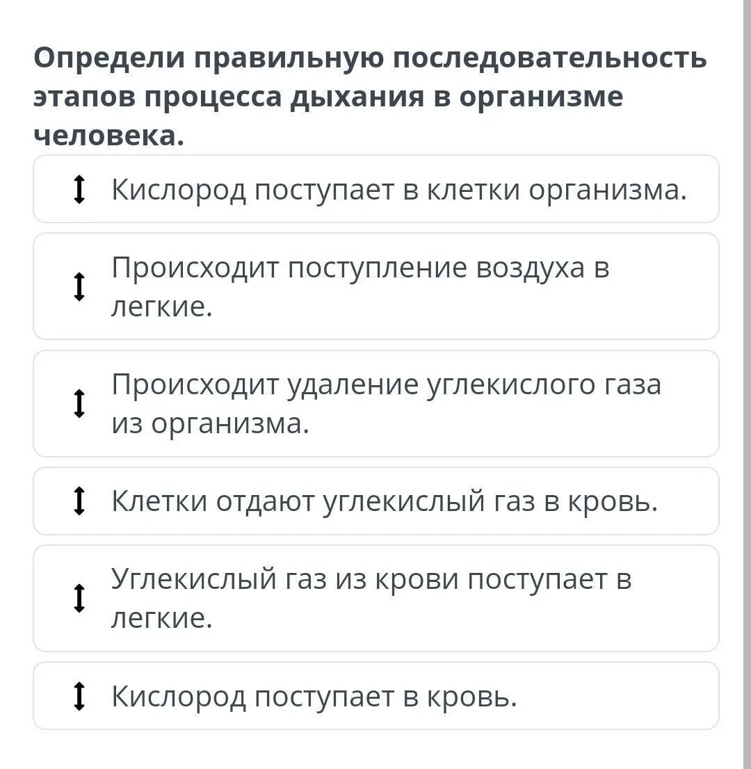 Какая правильная последовательность. Последовательность этапов процесса дыхания. Последовательность фаз дыхательного процесса. Этапы d8 в правильной последовательности. Правильный порядок фаз.