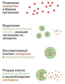 Уровни аллергии