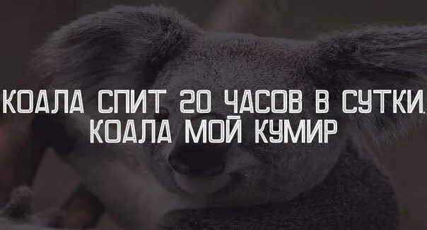 Спи 22 23