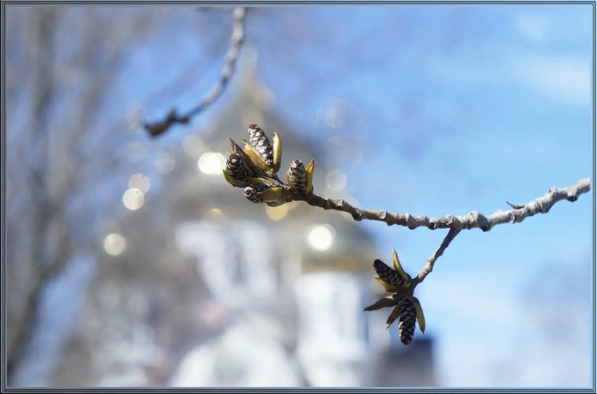 Весны 7 д красноярск клиника. Улица весны дом 7 красноярск. Ул. А весной а весной снег повсюду тает слушать. Фролы пермский район.