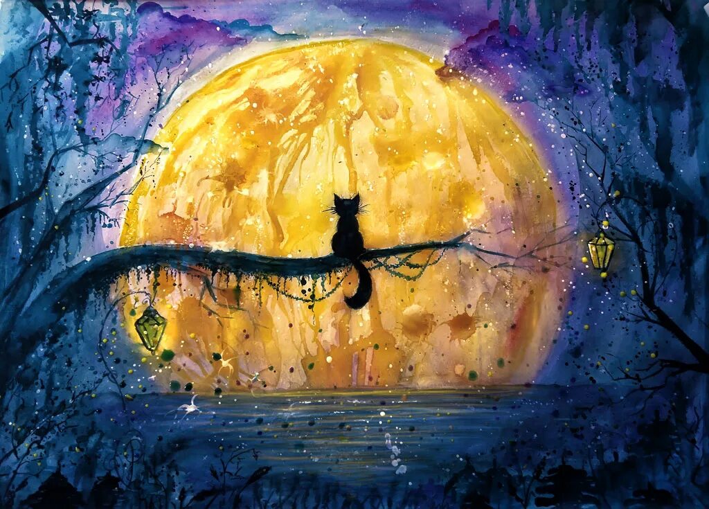 Лунный кот юмор. Лунный кот картина. Ночь луна кот. Ночной кот. Лунный кот минус.