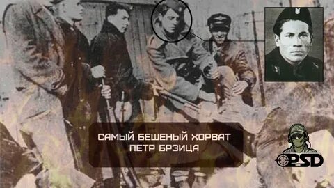 Петар брзица