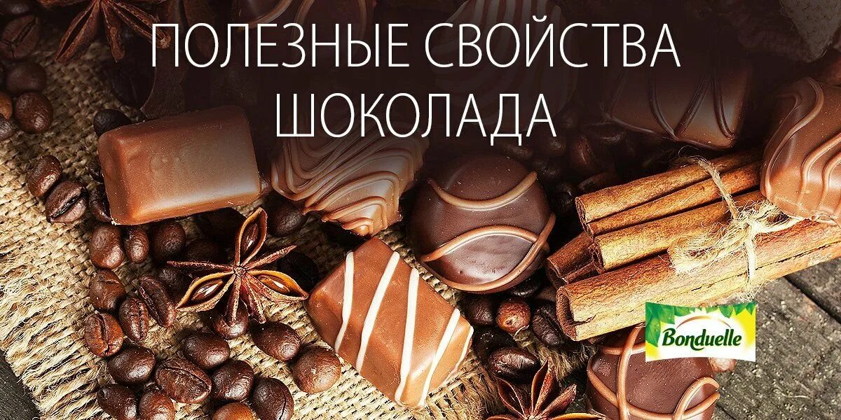 Польза шоколада. Польза шоколада для организма. Буклет про шоколад. Польза шоколада. Полезные свойства шоколада.