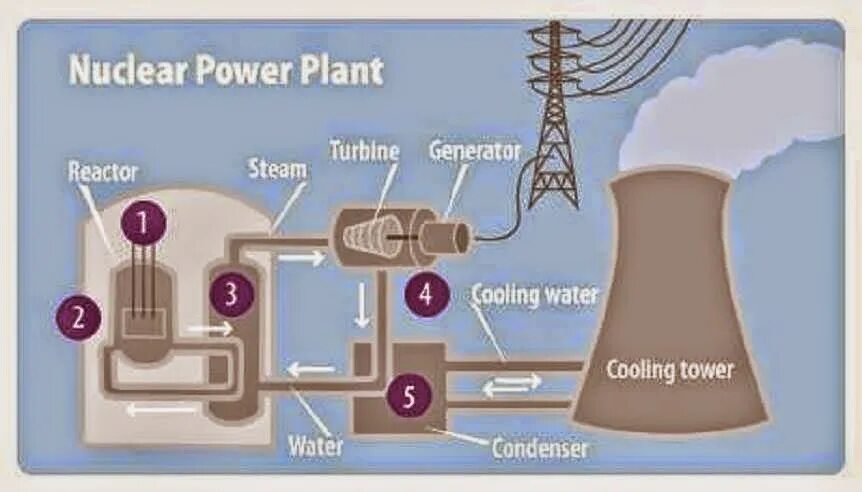 Power station перевод. Атомная Энергетика схема. Nuclear Power Plant схема. Ядерная Энергетика схема. How nuclear Power Plants work.