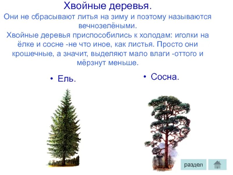 Сбрасывает почему с