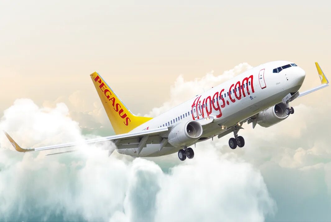 Авиалинии пегасус. Турецкая авиакомпания pegasus airlines. пегасус эйрлайнс самолеты. авиакомпания пегасус пегасус. самолет компании пегасус.