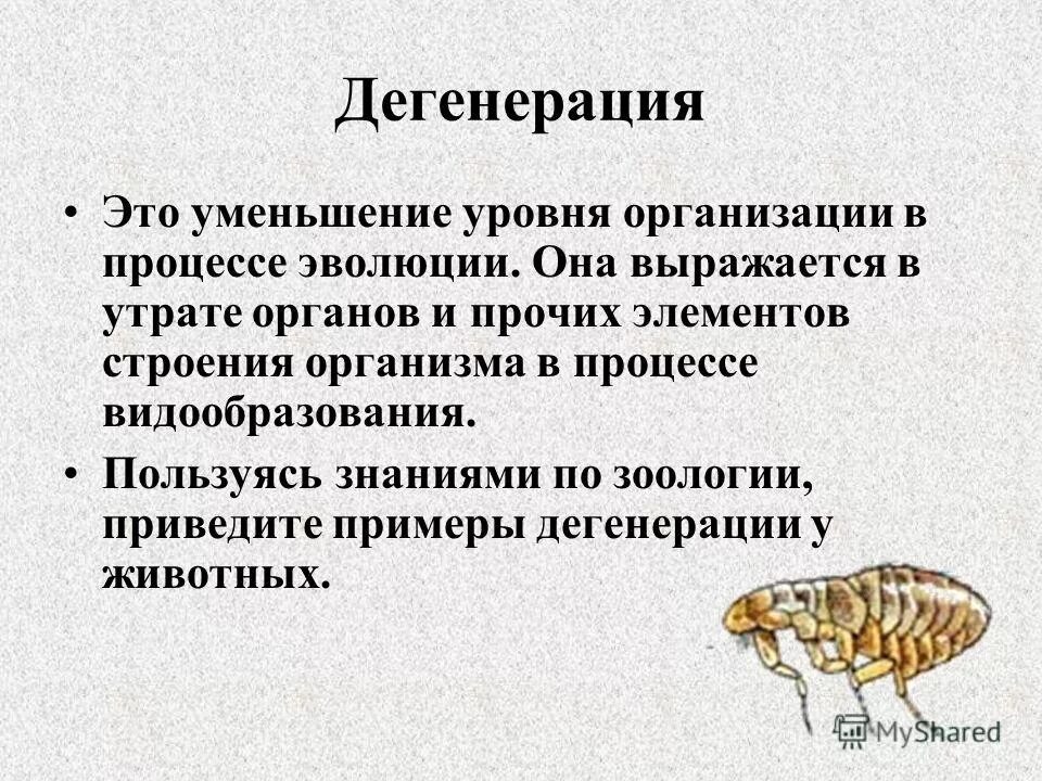 1 примеры дегенерации